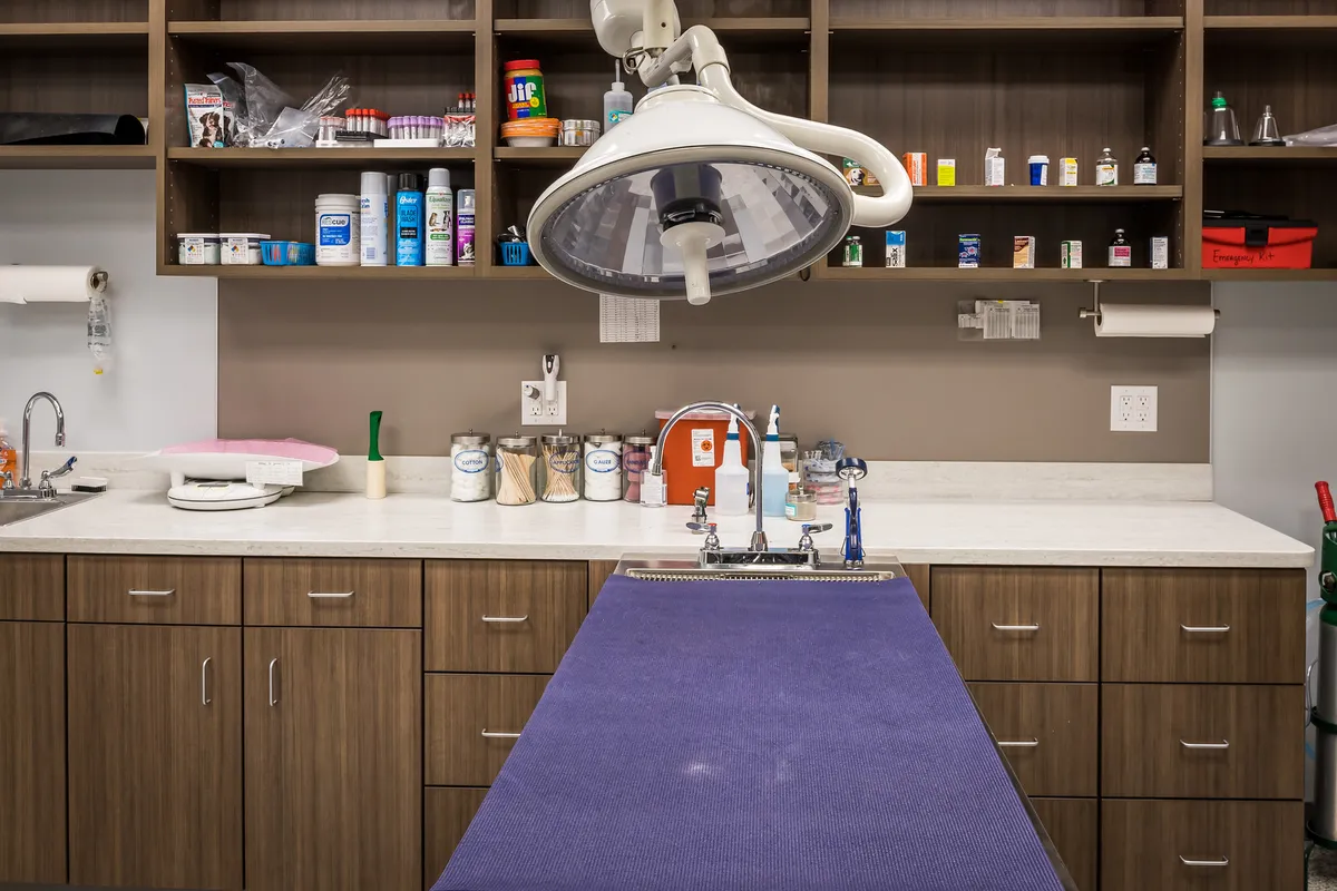 Carmel Veterinary Clinic