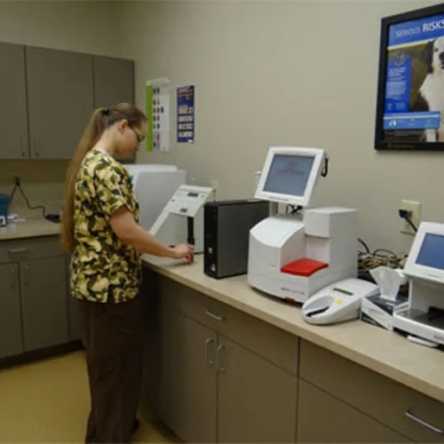 Parkville Animal Hospital