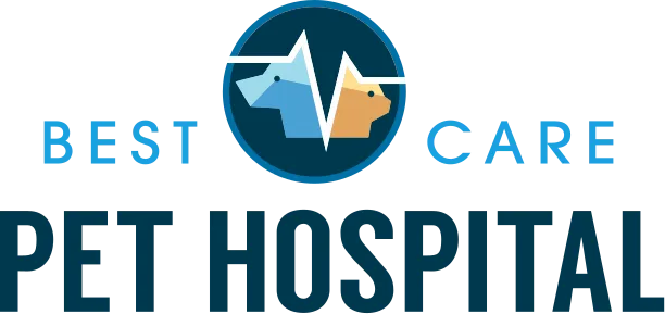 Best Care Pet Hospital