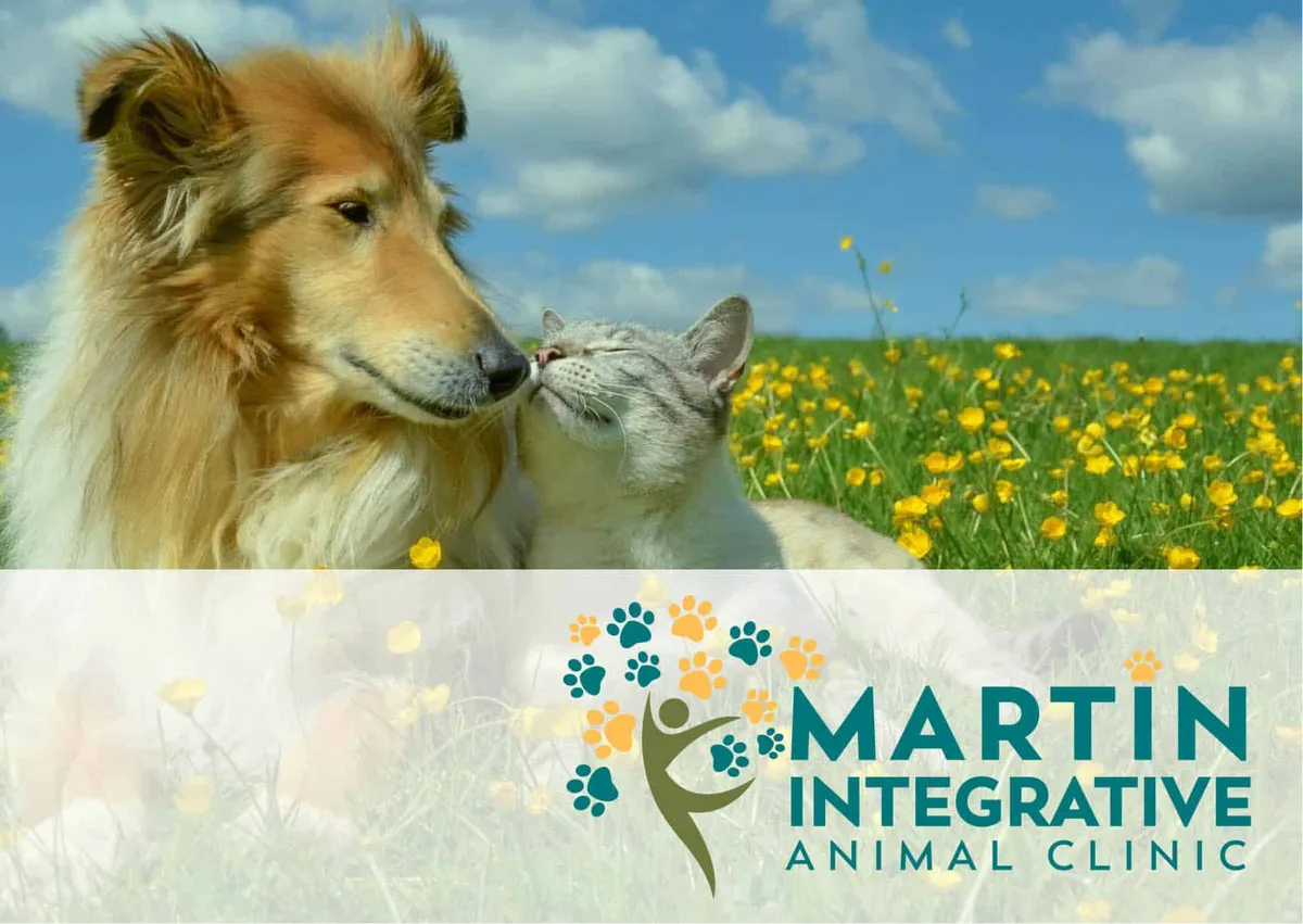 Animal Alternatives Integrative Health Care