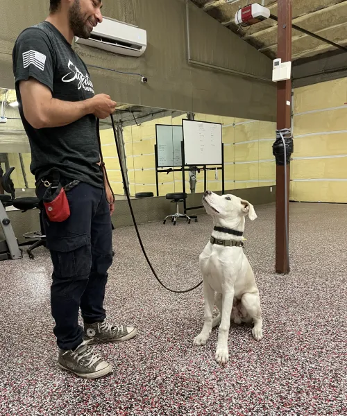 Signature K9 Training Academy
