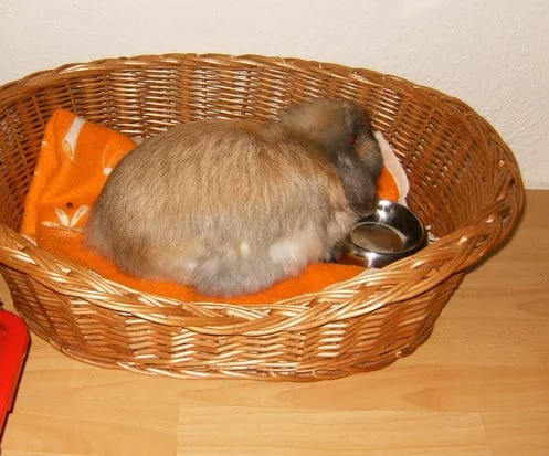 Tierarztpraxis Dathe