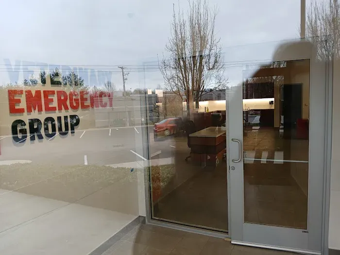 Veterinary Emergency Group