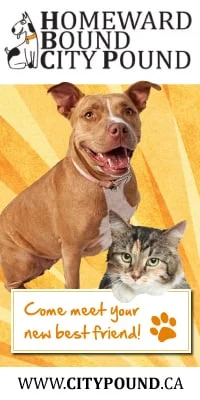 Homeward Bound City Pound