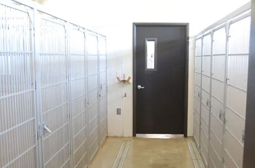 Yucaipa Animal Hospital