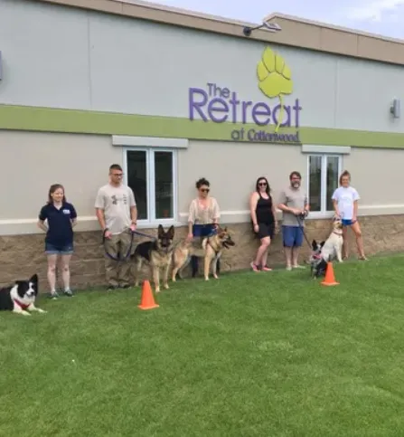 Peoria Obedience Training