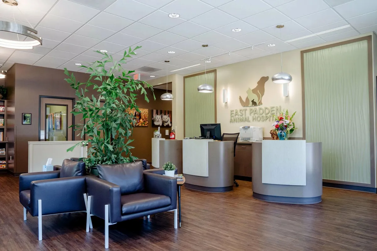 East Padden Animal Hospital