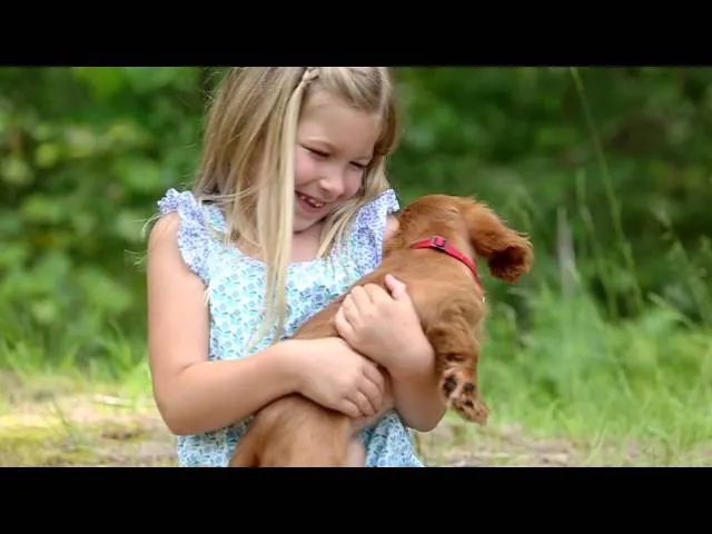 Hickory Small Animal Hospital, Independence