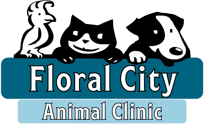 Kansas City Animal Emergency