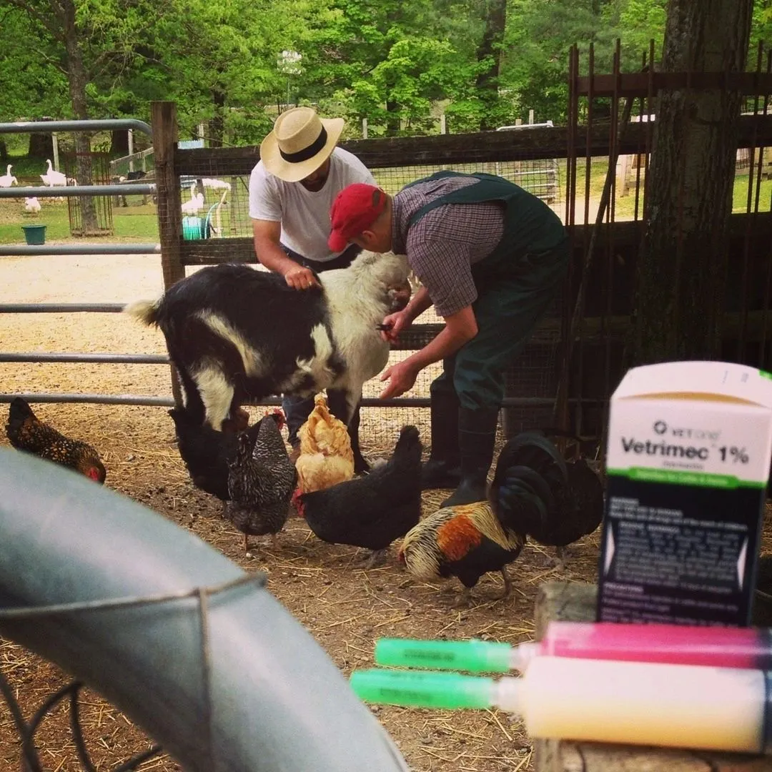 Bentley Veterinary Services