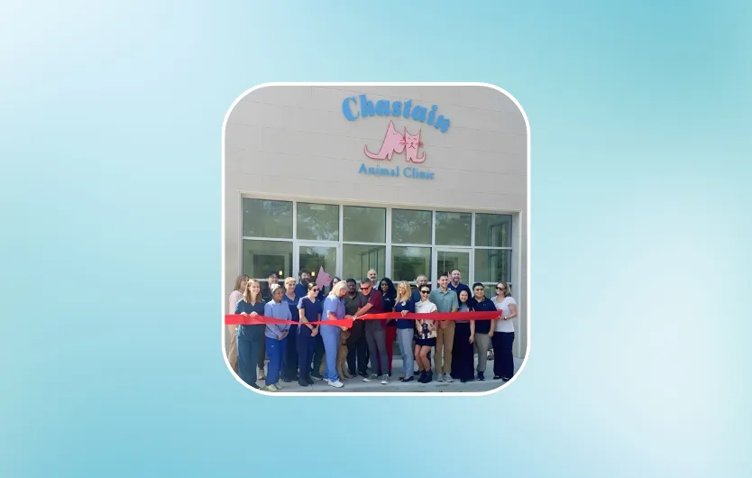 Chastain Animal Clinic