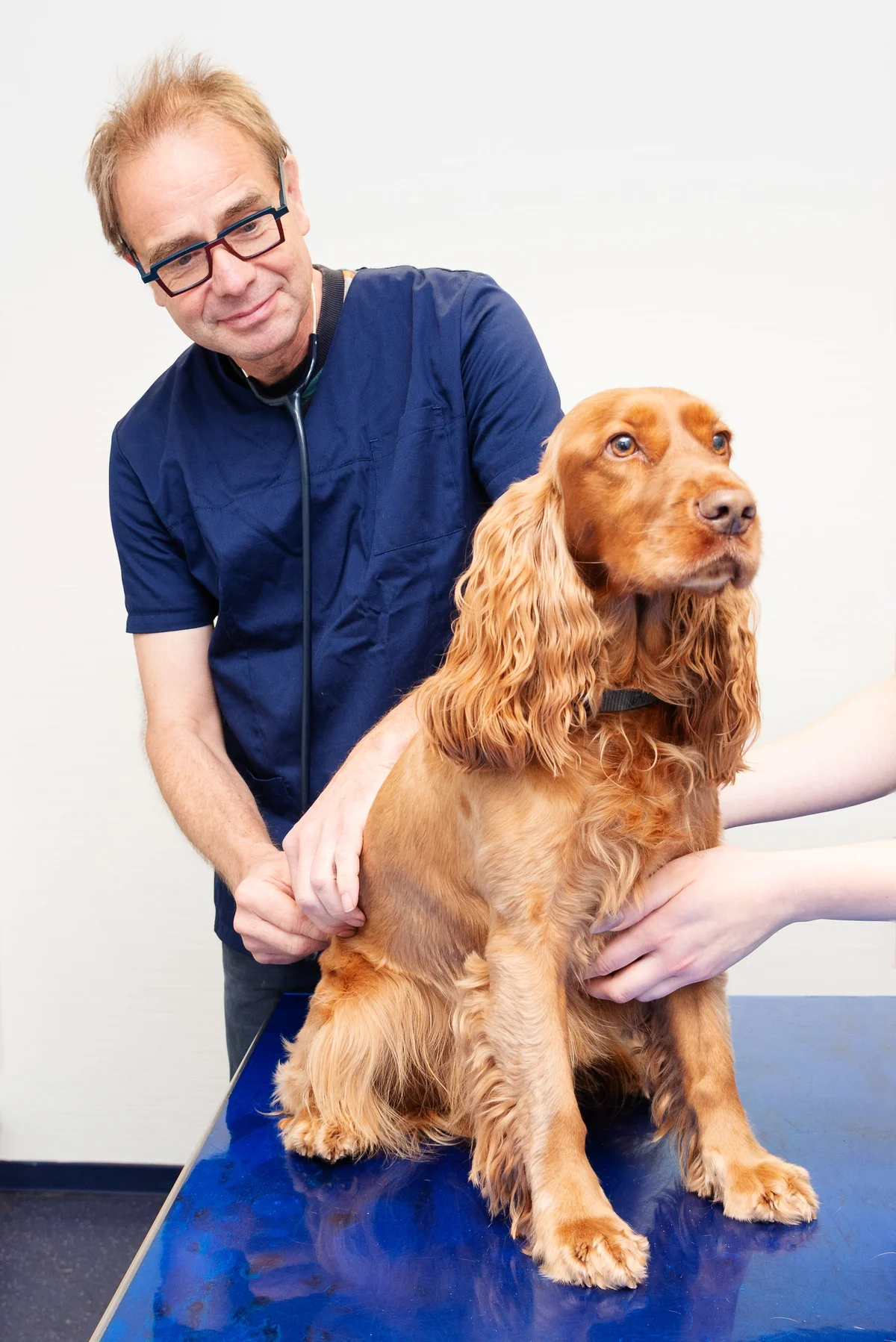 Tierarztpraxis Worpswede