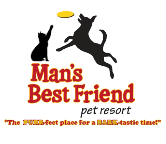 Man's Best Friend Pet Resort