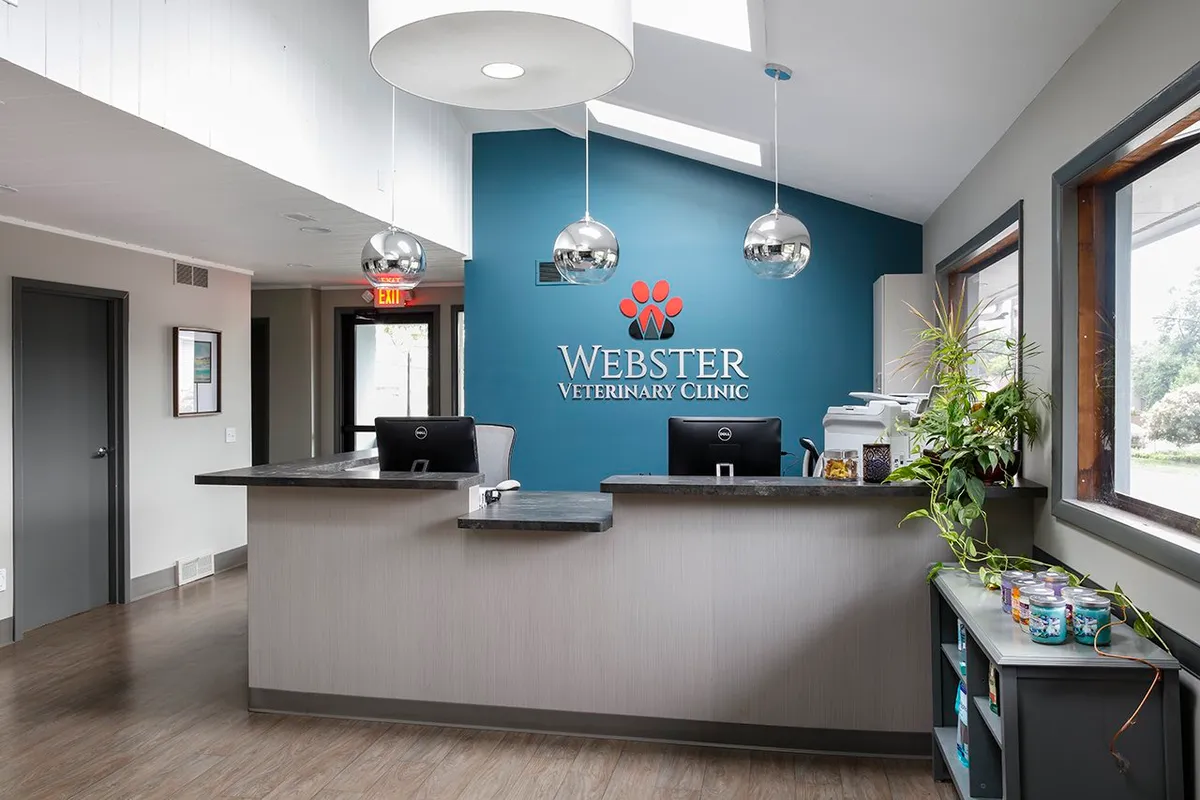 Community Pet Clinic