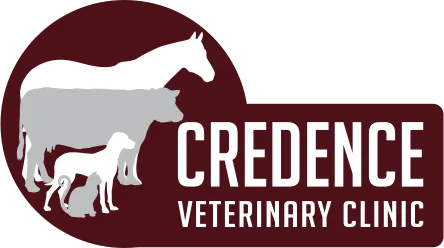 Credence Veterinary Clinic
