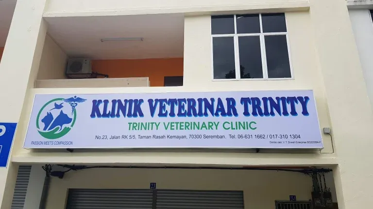 Trinity Labradoodles