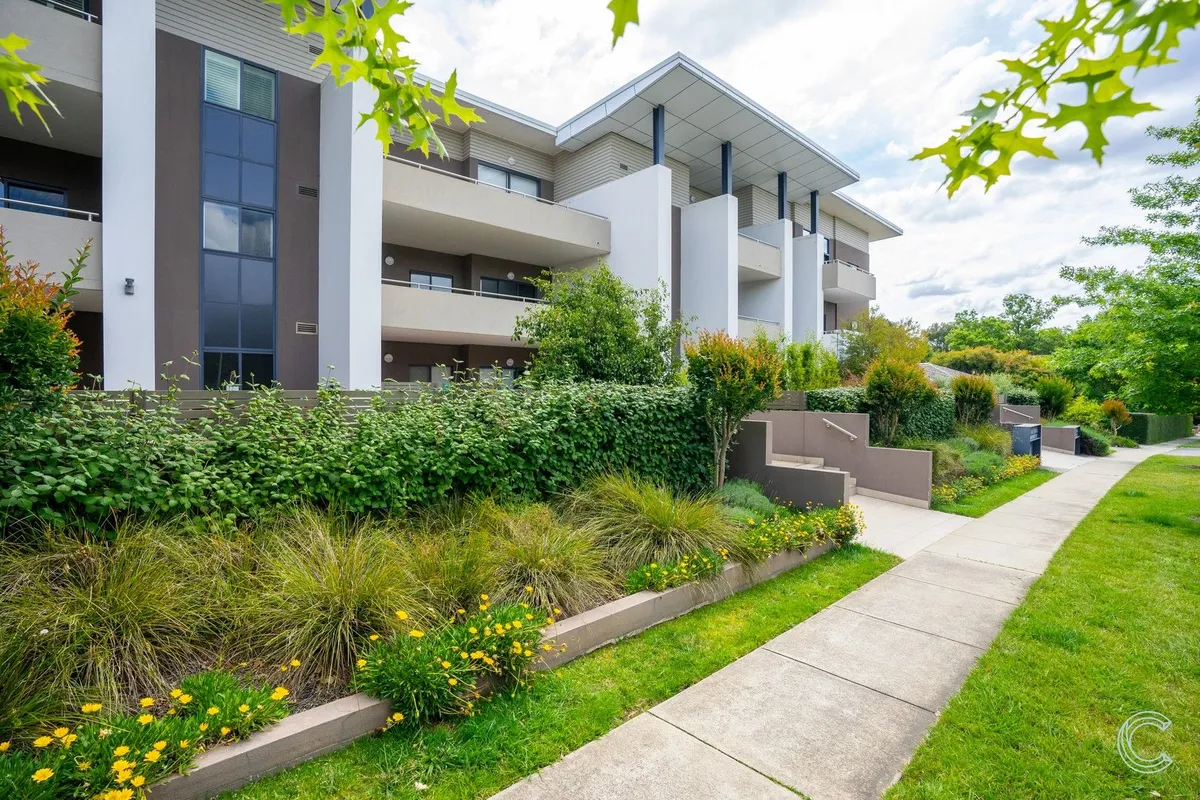 10 BEST Vets in Deakin ACT 2600