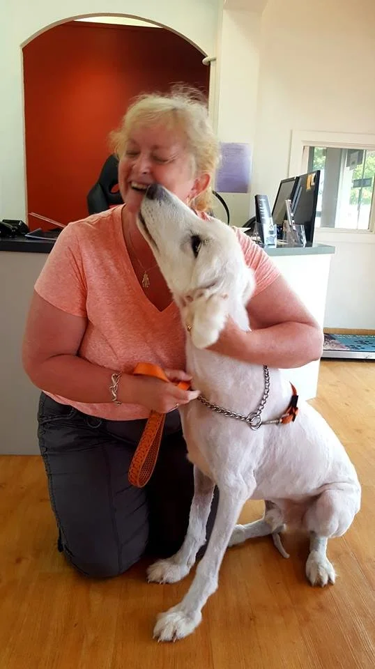 Arundel Veterinary Surgery