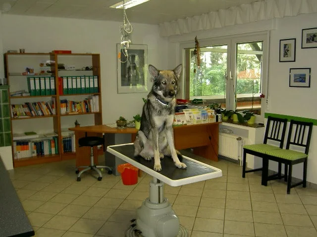 Tierarztpraxis Herzfeld