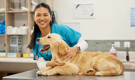 Azalea Animal Hospital