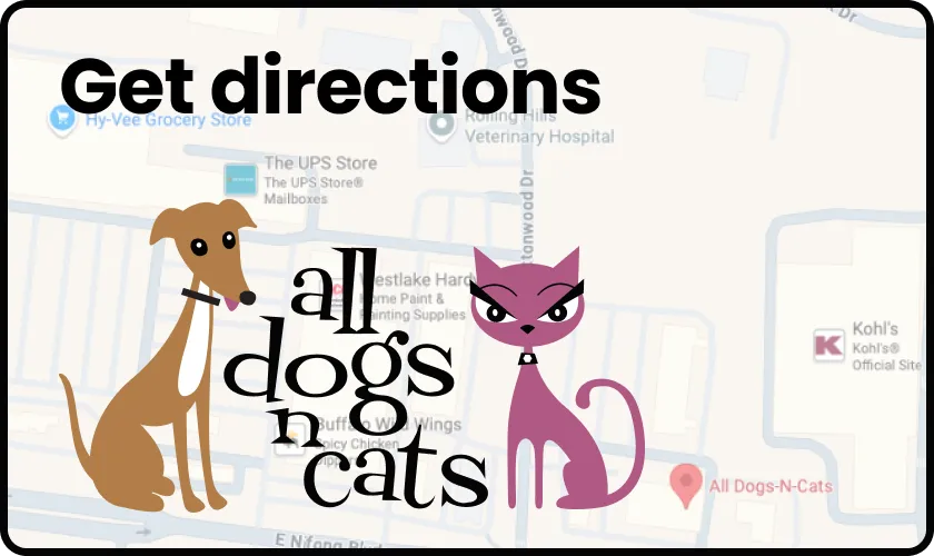 All Dogs N Cats