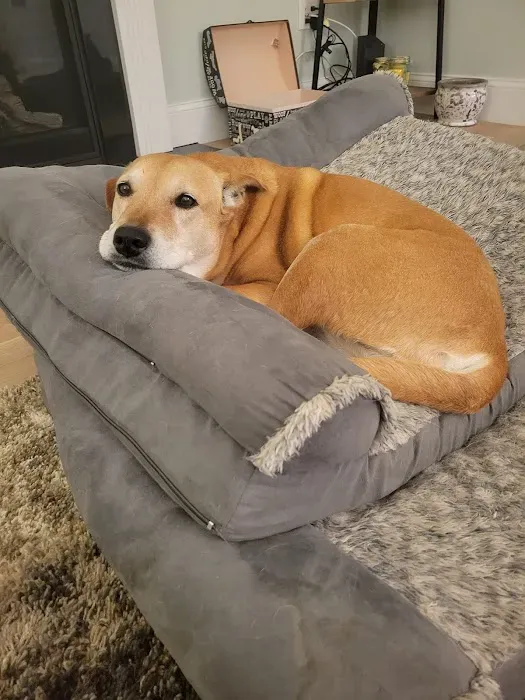 Wellborn Road Veterinary Medical Center