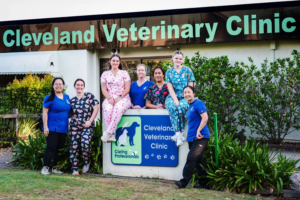 Cleveland Veterinary Clinic