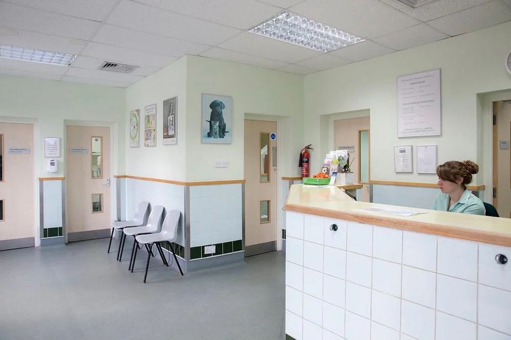 Palmerston Veterinary Group, Walthamstow