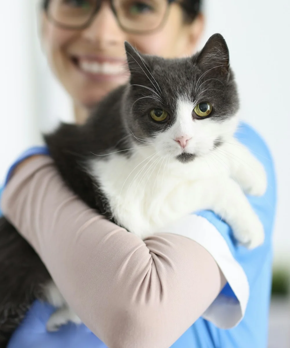 Middletown Animal Hospital