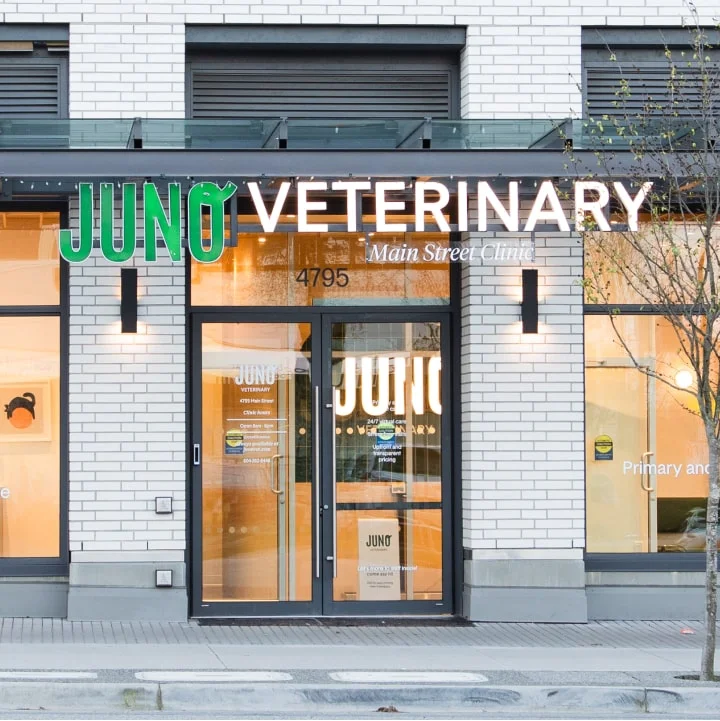 Juno Veterinary