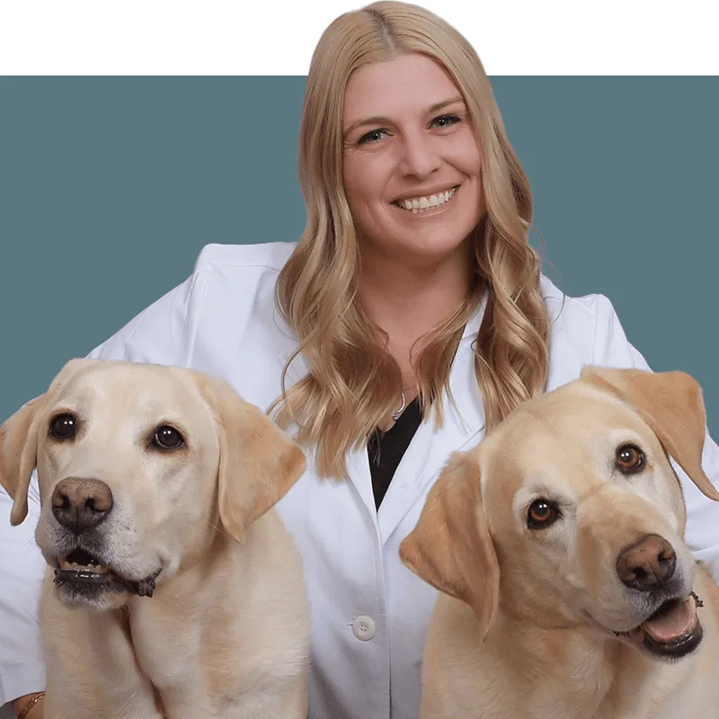 CityVet - Lone Mountain