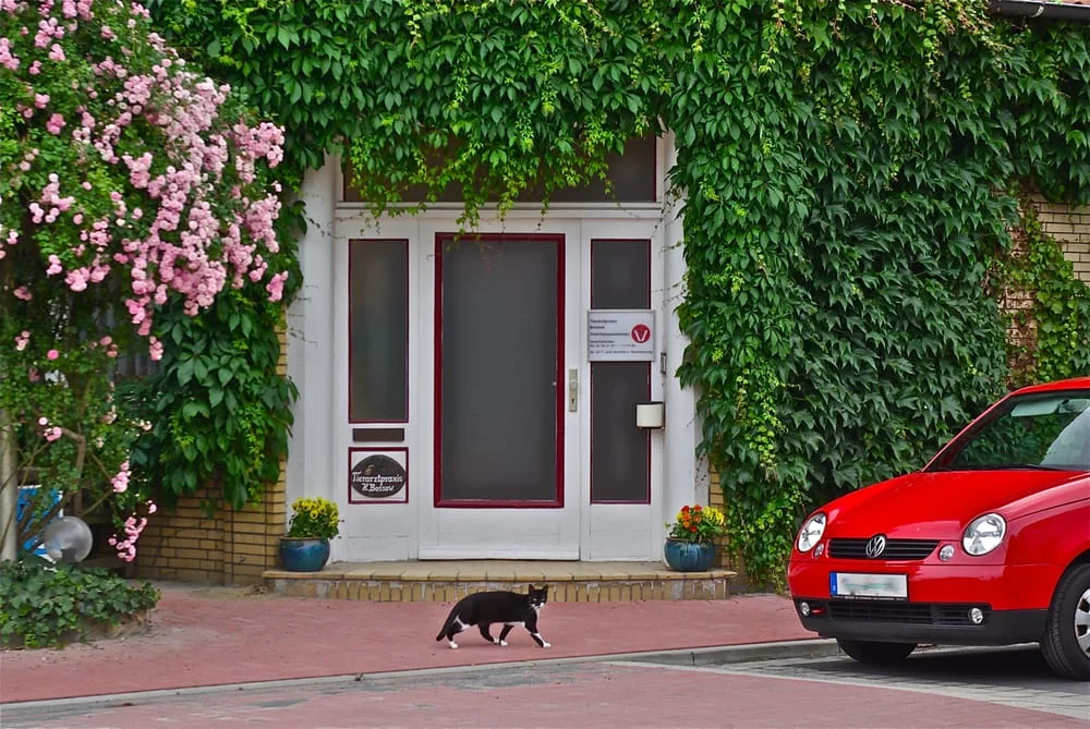 Tierarztpraxis Bossow