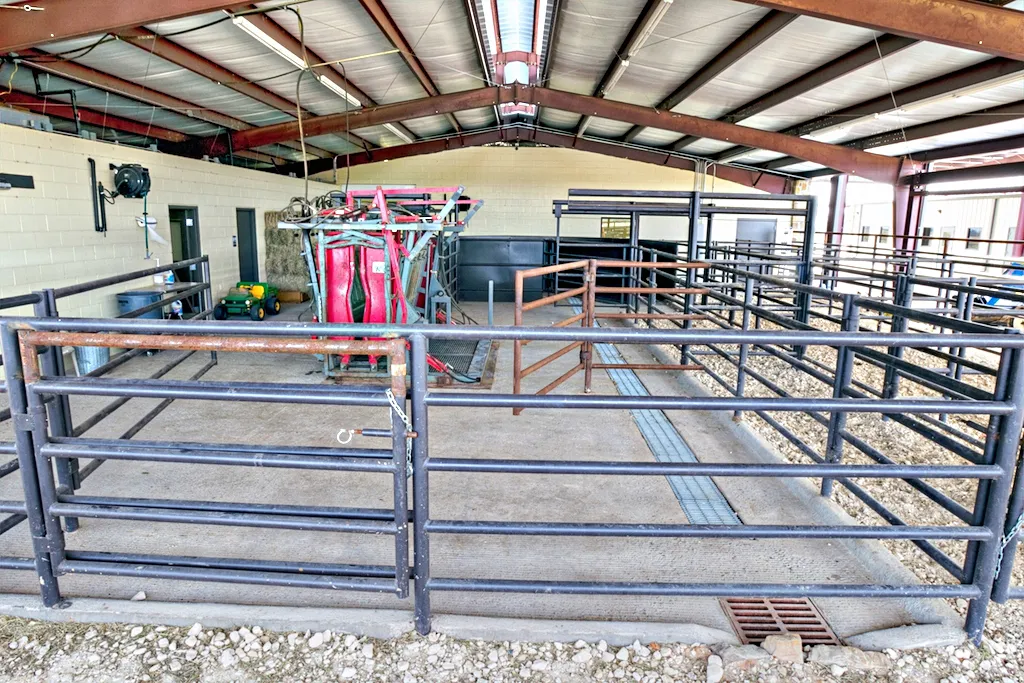 Martell Equine & Large Animal Medicine