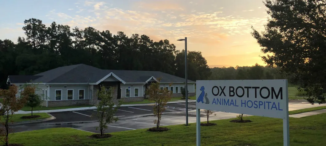 Ox Bottom Animal Hospital