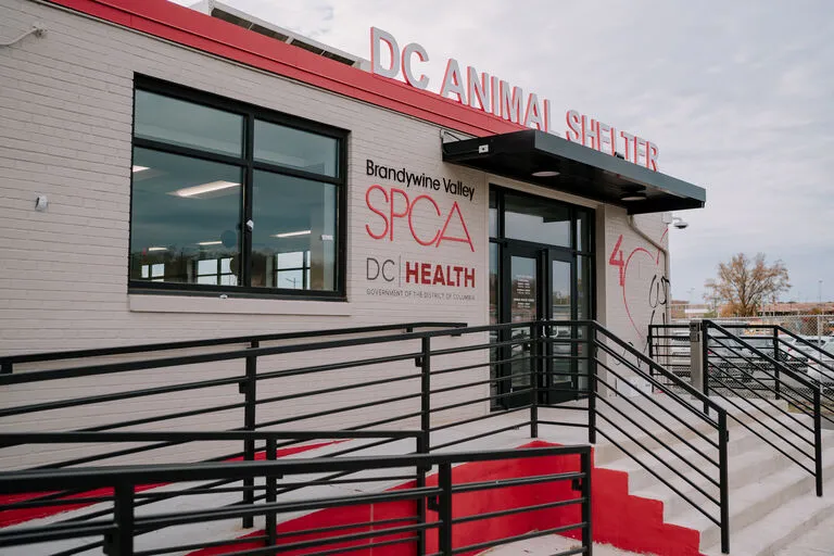 Brandywine Valley SPCA