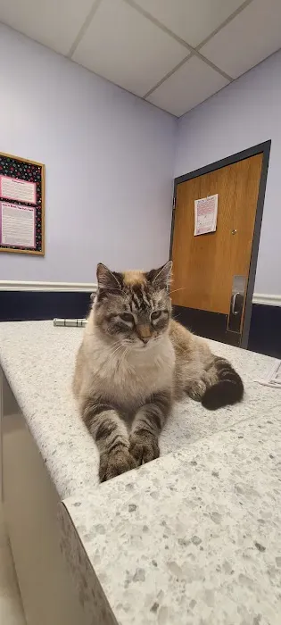 Horton Animal Hospital-Northeast