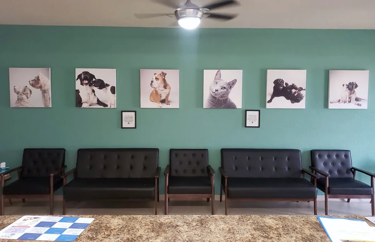 Loving Care Pet Hospital