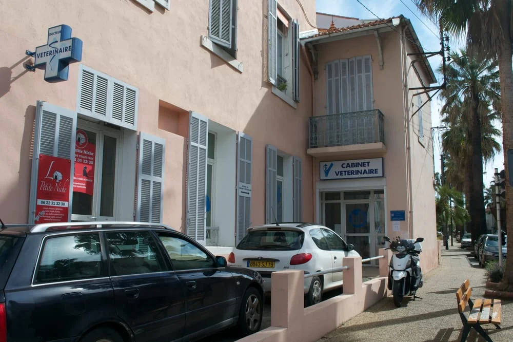 Cabinet Vétérinaire Gambetta