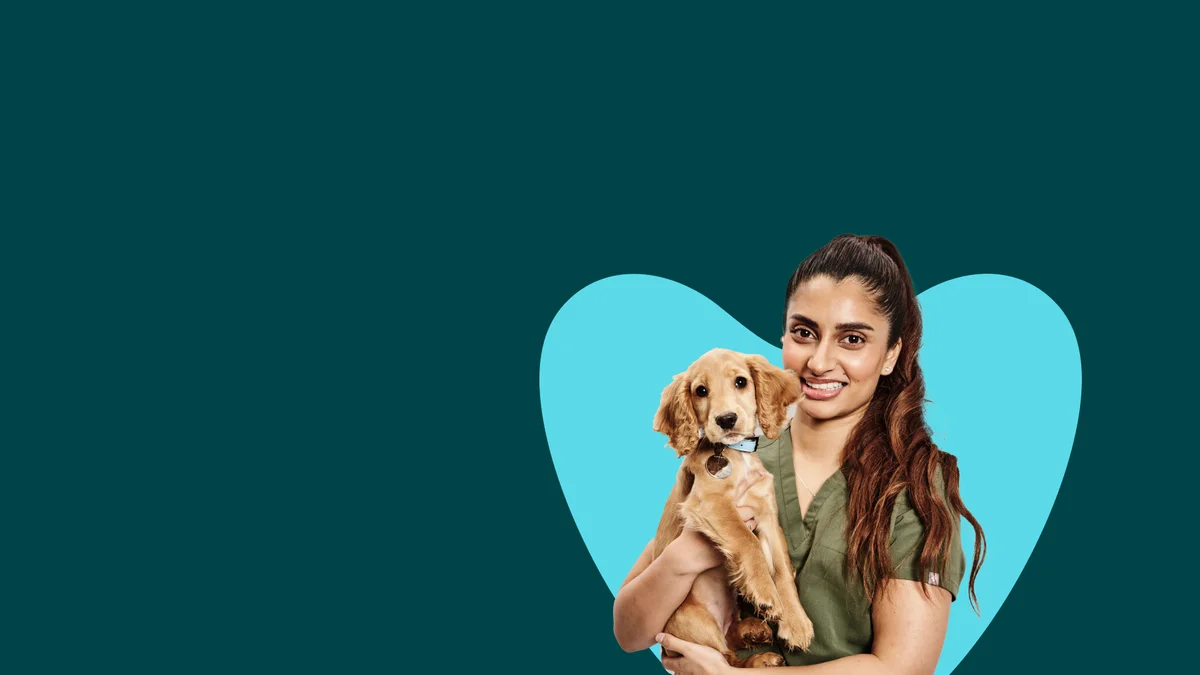 Lime Trees Veterinary Hospital - Meir Park