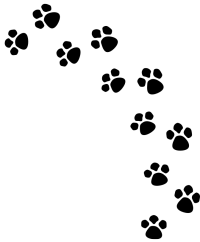 St. Mina Animal Hospital