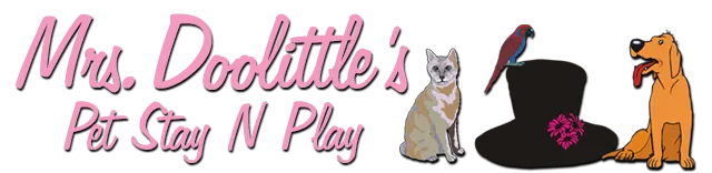 Mrs. Doolittle's Pet Stay N Play