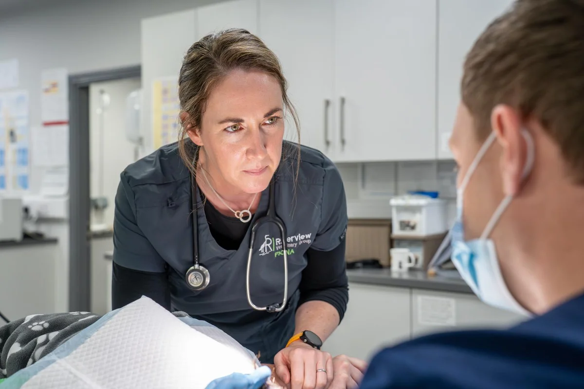 Riverview Veterinary Group - Bandon