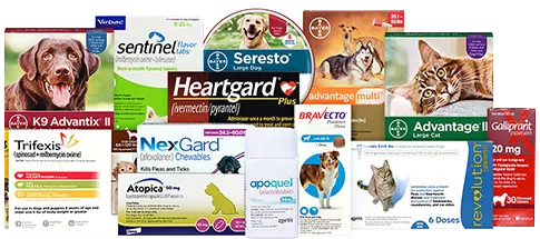 Pacific Heights Veterinary Hospital