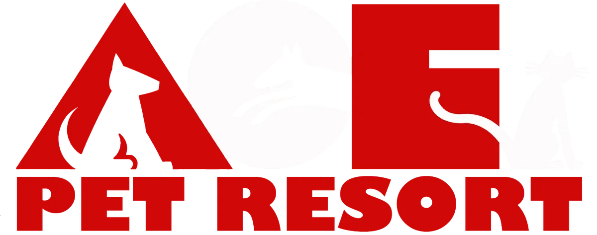 Ace Pet Resort