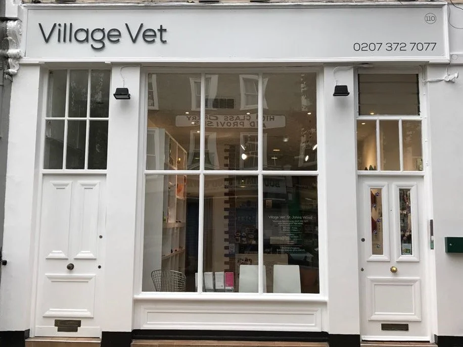 Village Vet St John's Wood