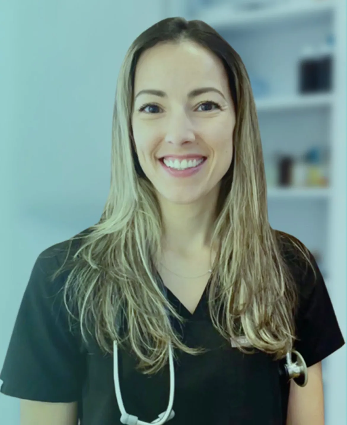 Village Animal Hospital