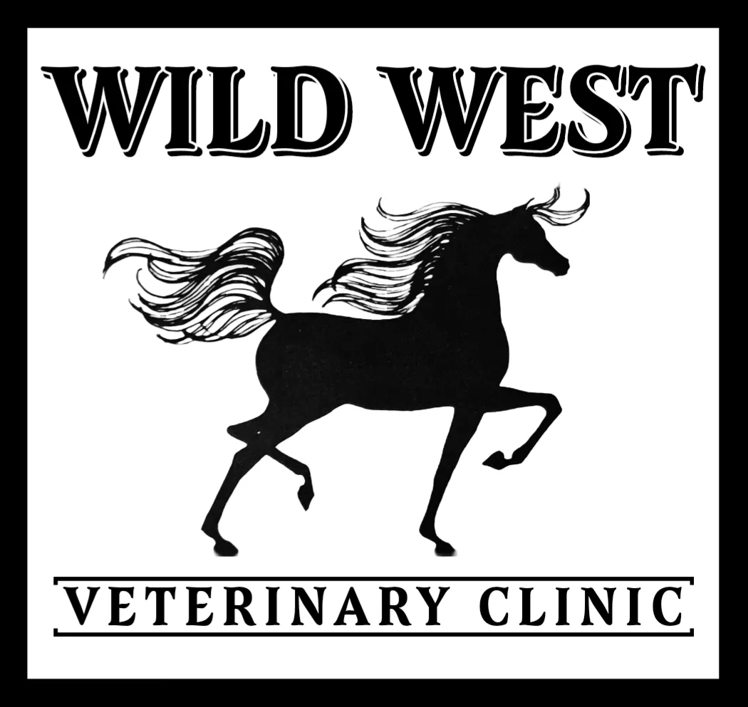 Healthy Pets Mountain West