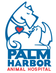 Palm Harbor Animal Hospital