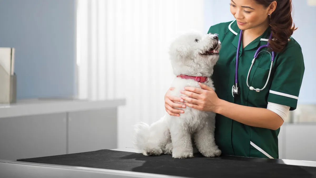 Animal Hospital of West Port St. Lucie