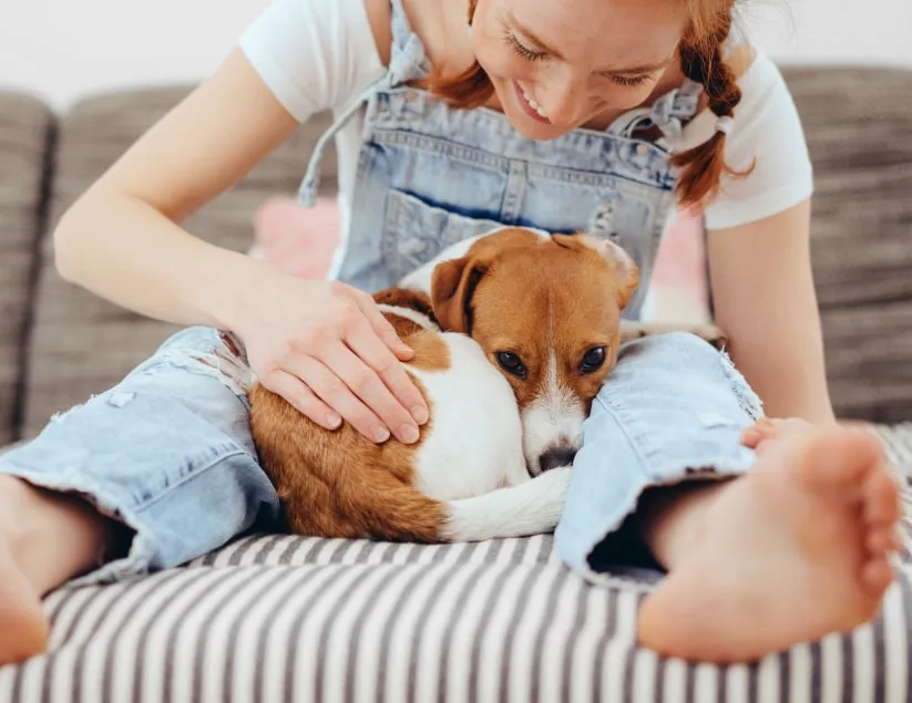 Snellville Animal Hospital